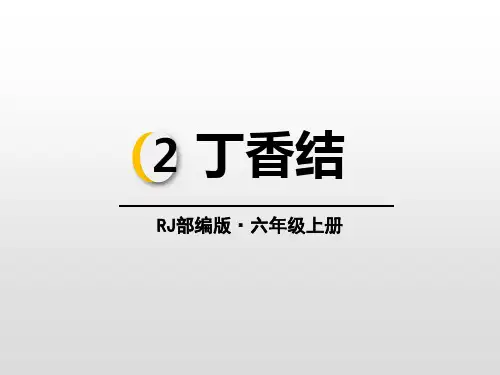 部编版六年级上册语文《丁香结》PPT说课教学