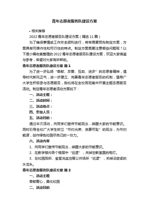 青年志愿者服务队建设方案