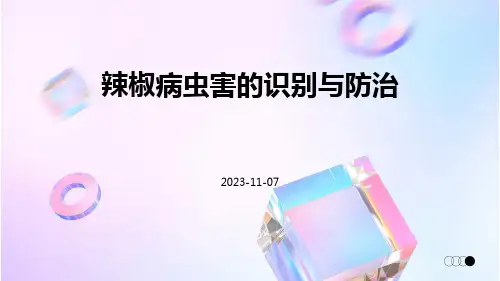辣椒病虫害的识别与防治