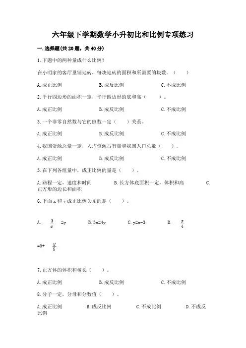 六年级下学期数学小升初比和比例专项练习附答案(满分必刷)
