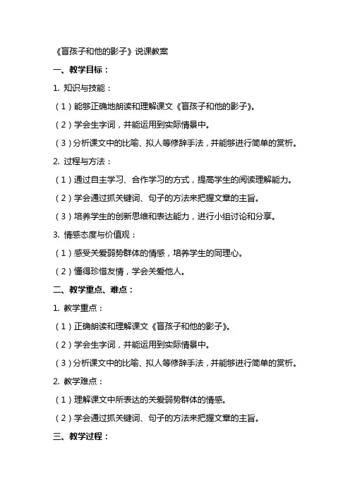 《盲孩子和他的影子》说课教案初中语文教案
