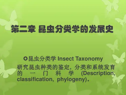 昆虫分类学发展史和四大分类学派ppt课件