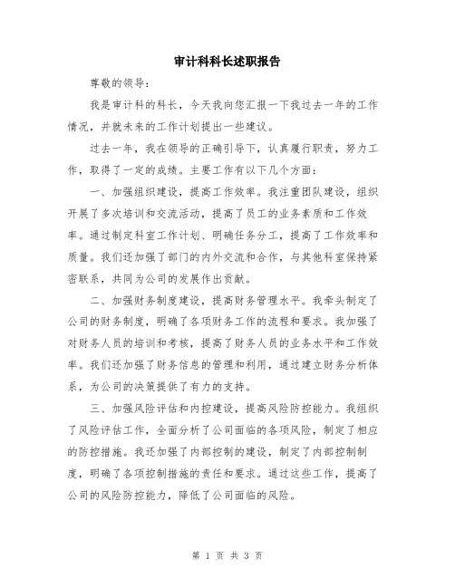 审计科科长述职报告