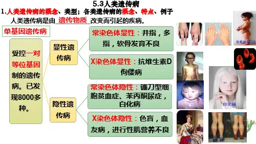 人类遗传病