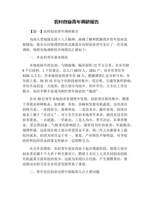 农村创业青年调研报告