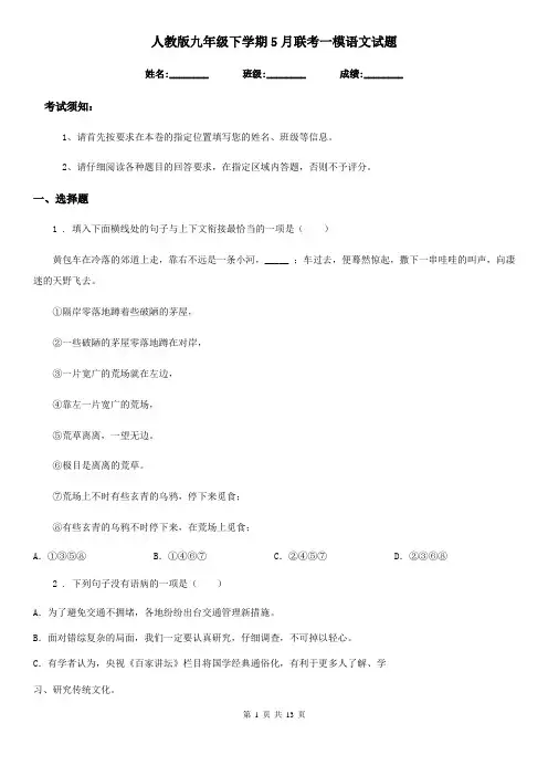 人教版九年级下学期5月联考一模语文试题