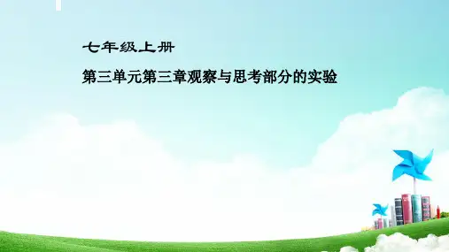 《水分在植物体内的运输途径》课件PPT1