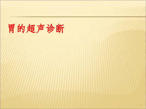 胃超声ppt课件