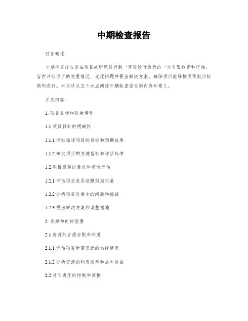 中期检查报告