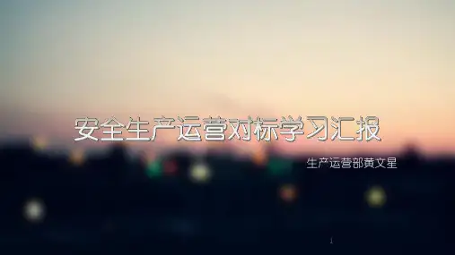 安全生产运营对标学习汇报ppt课件