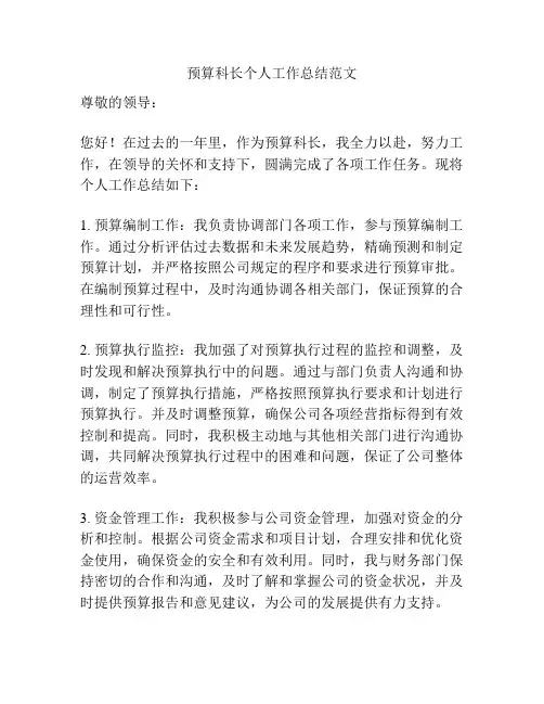 预算科长个人工作总结范文