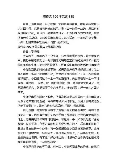 猫作文700字范文5篇