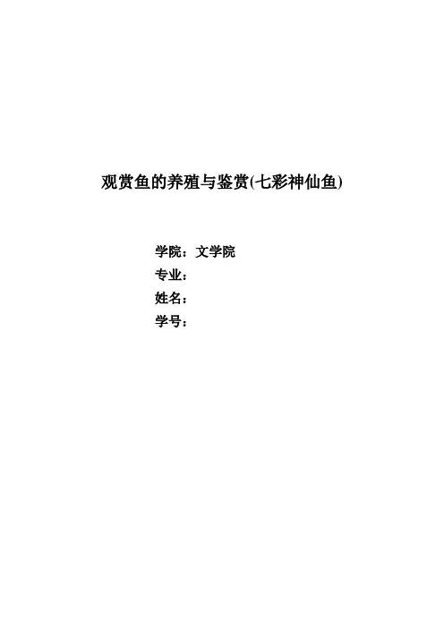 观赏鱼的养殖与鉴赏——七彩神仙鱼