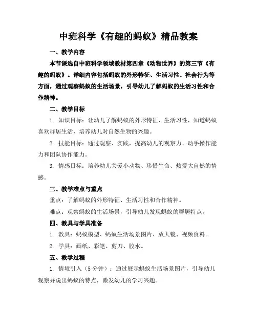 中班科学《有趣的蚂蚁》精品教案