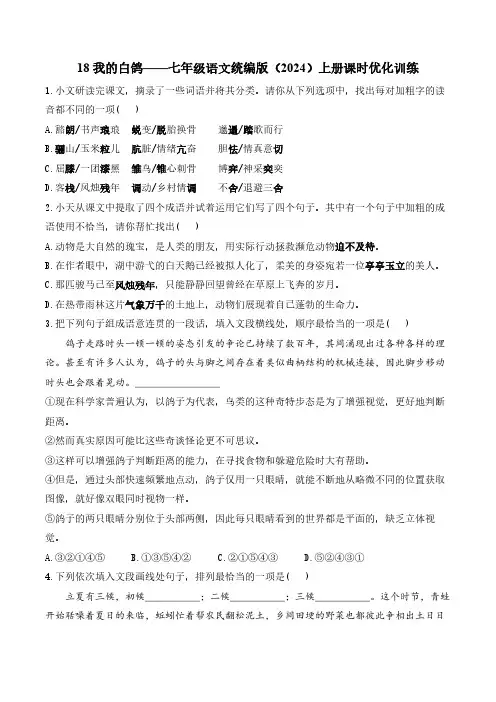 18 我的白鸽——七年级语文统编版(2024)上册课时优化训练(含解析)