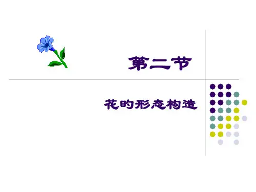 花的形态结构植物学