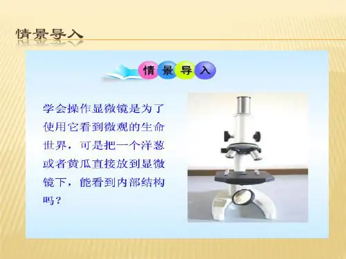 实验二 制作并观察植物细胞临时装片