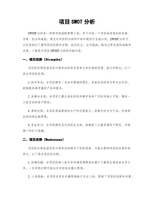 项目SWOT分析