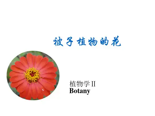 植物学-被子植物的花
