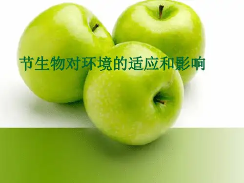 生物对环境的适应和影响PPT课件14