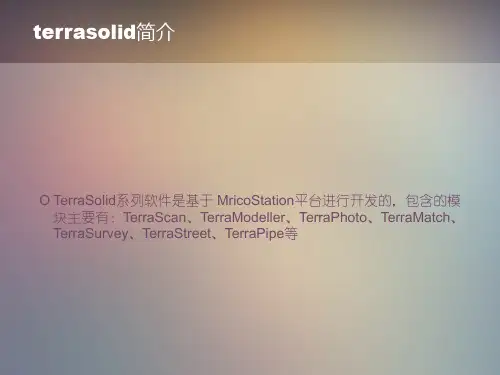 terrasolid实习报告