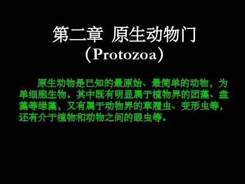 《原生动物大全》PPT课件