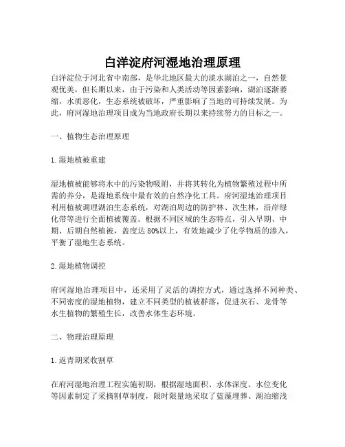 白洋淀府河湿地治理原理