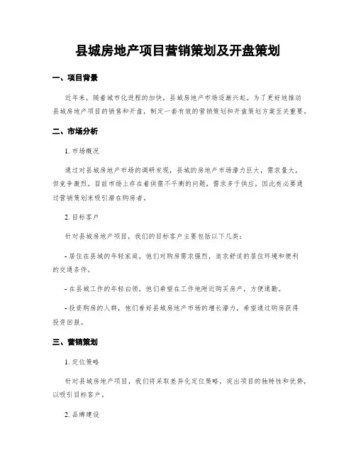 县城房地产项目营销策划及开盘策划