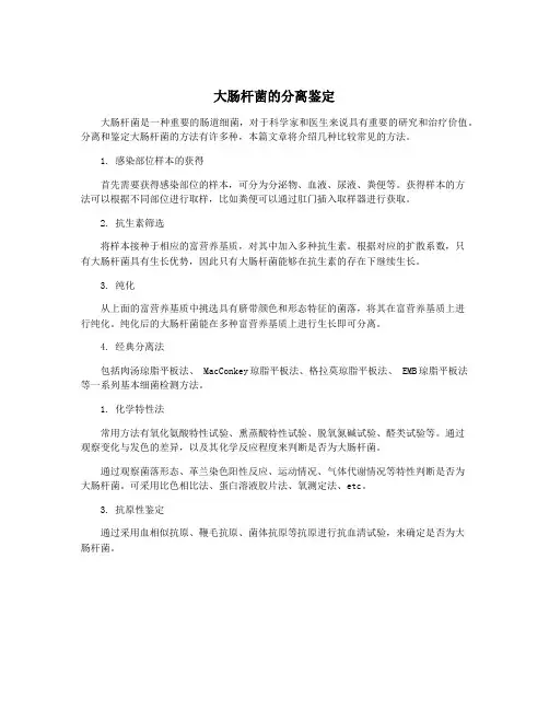 大肠杆菌的分离鉴定