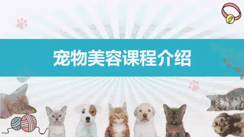 《宠物美容》课件——宠物美容课程介绍