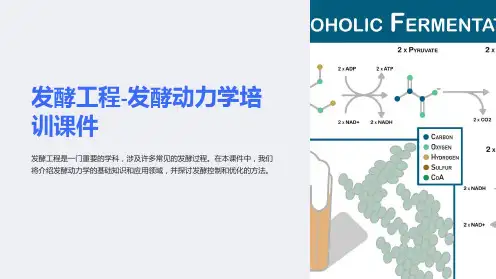 发酵工程-发酵动力学培训课件