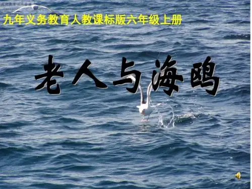 人教版小学语文六年级上册《 21 老人与海鸥》 公开课ppt课件_0