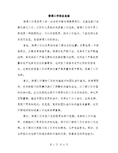 借调工作体会总结（3篇）