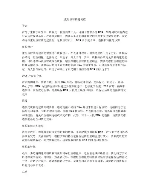 重组质粒构建流程