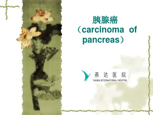 胰腺癌PPT课件