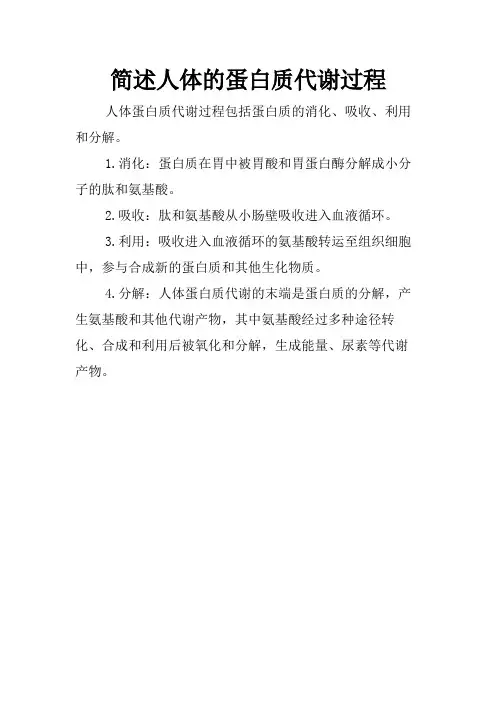 简述人体的蛋白质代谢过程