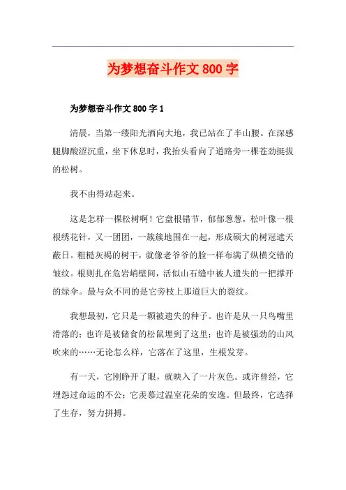 为梦想奋斗作文800字