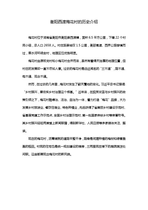 衡阳西渡梅花村的历史介绍