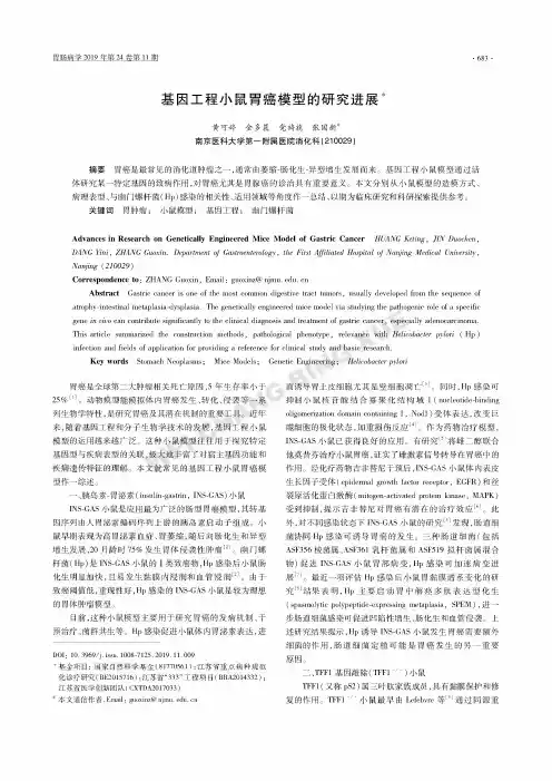 基因工程小鼠胃癌模型的研究进展
