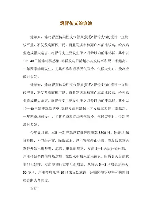 鸡肾传支的诊治