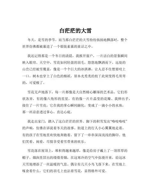 白茫茫的大雪