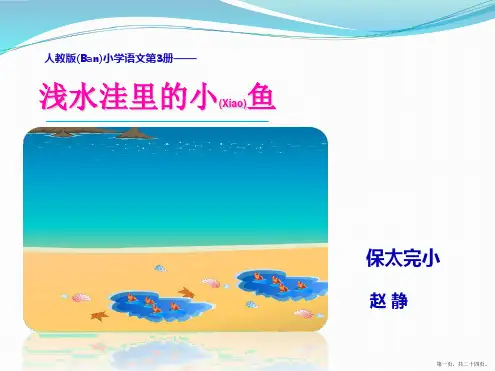 人教版二年级语文上《浅水洼里的小鱼》PPT课件