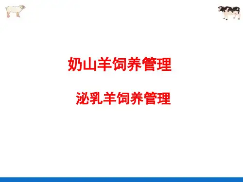 羊的饲养管理—泌乳奶山羊的饲养管理