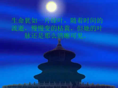 十佳大学生答辩,评优 ppt