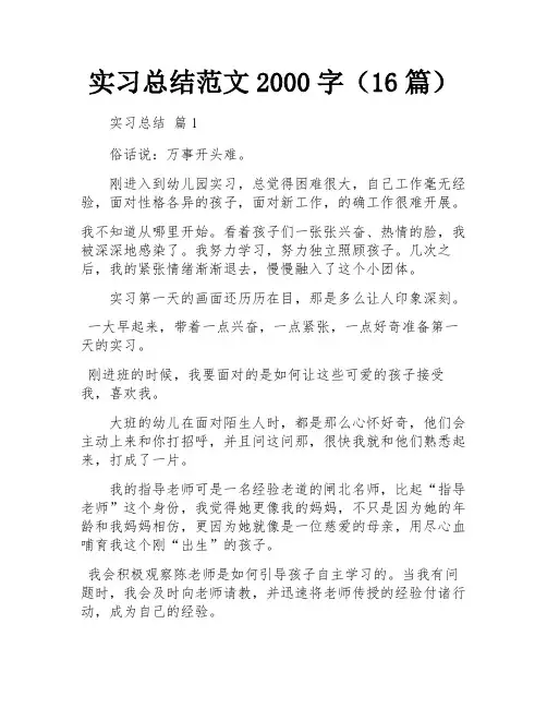 实习总结范文2000字(16篇)