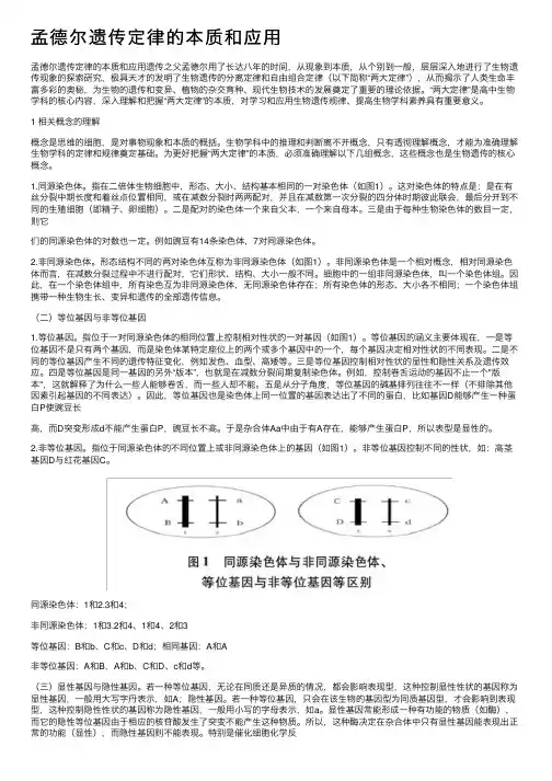 孟德尔遗传定律的本质和应用