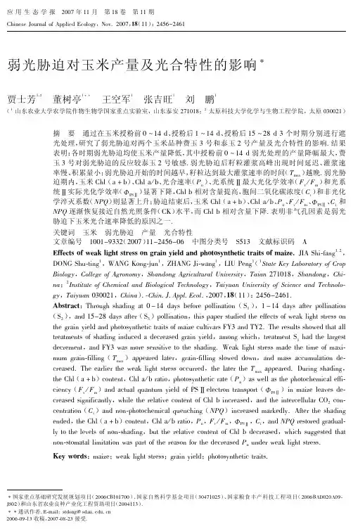 弱光胁迫对玉米产量及光合特性的影响