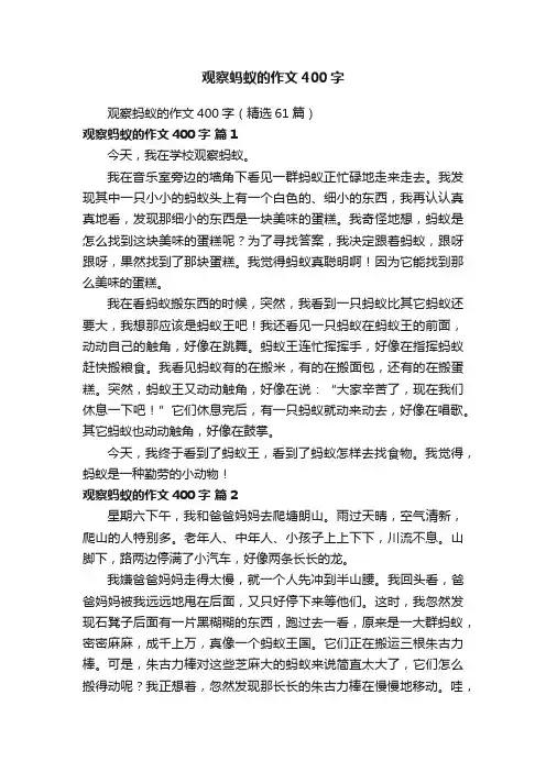 观察蚂蚁的作文400字（精选61篇）