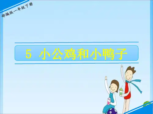  5 小公鸡和小鸭子 人教(共17张PPT)教育课件
