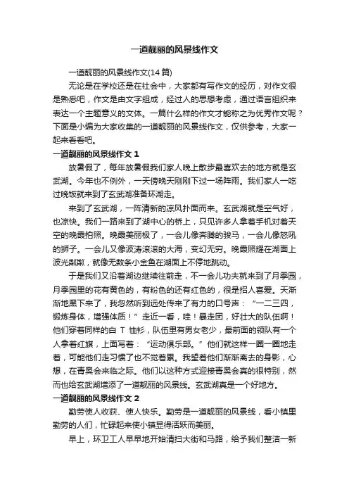 一道靓丽的风景线作文（14篇）